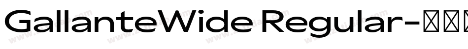 GallanteWide Regular字体转换